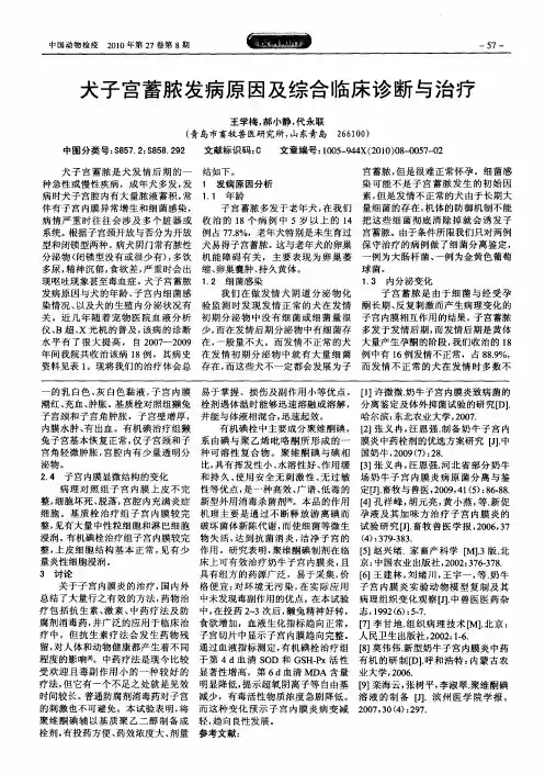 犬子宫蓄脓发病原因及综合临床诊断与治疗