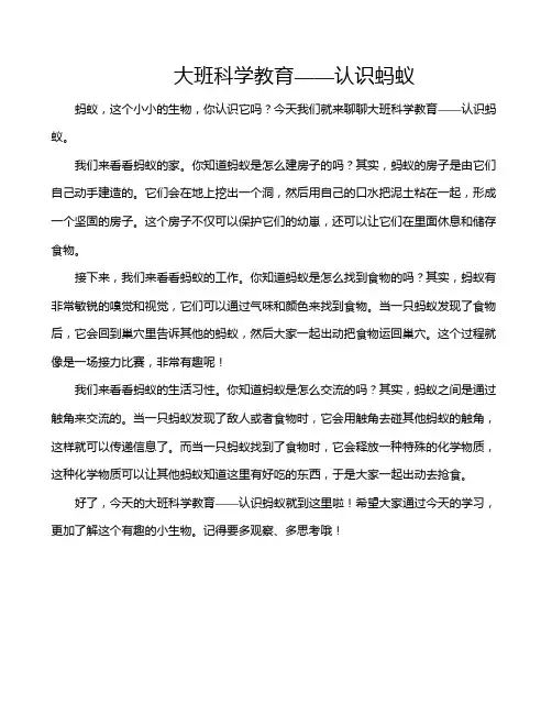 大班科学教育——认识蚂蚁