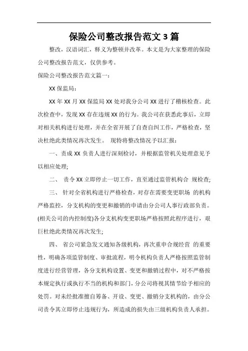 工作报告 保险公司整改报告范文3篇