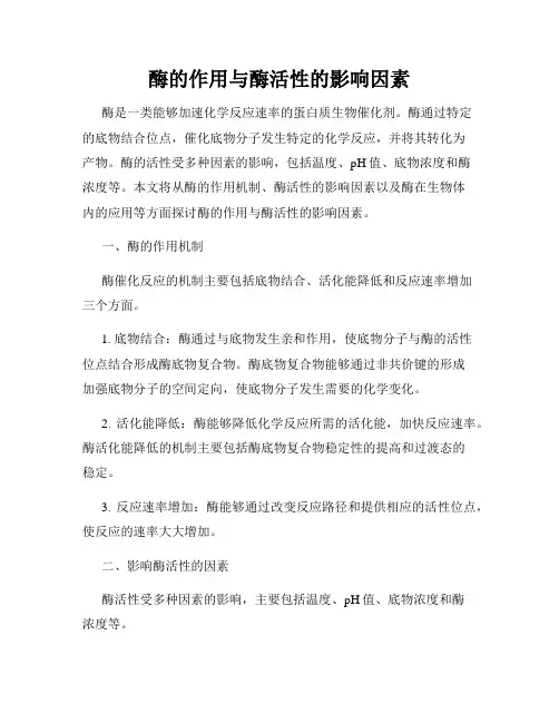 酶的作用与酶活性的影响因素