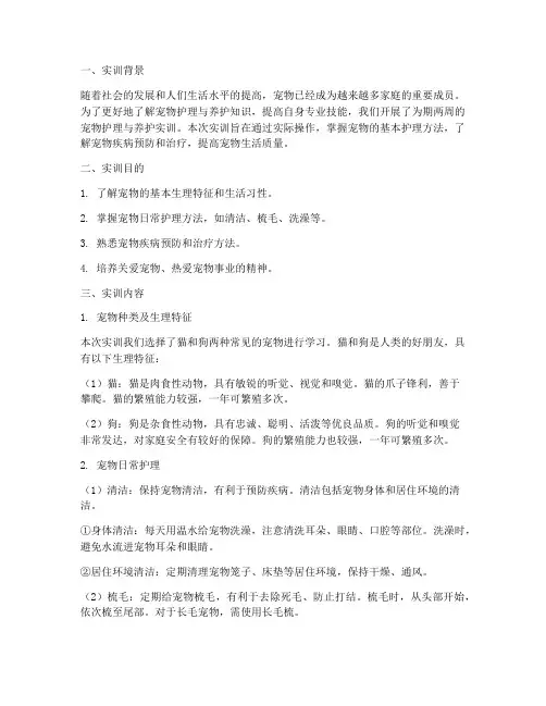 实训报告宠物