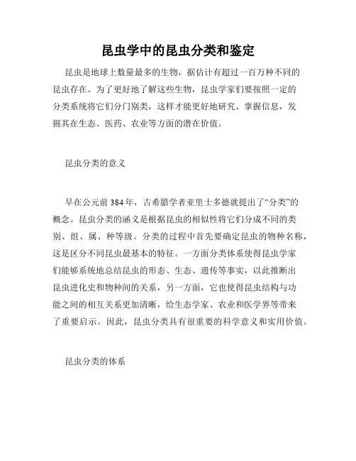 昆虫学中的昆虫分类和鉴定