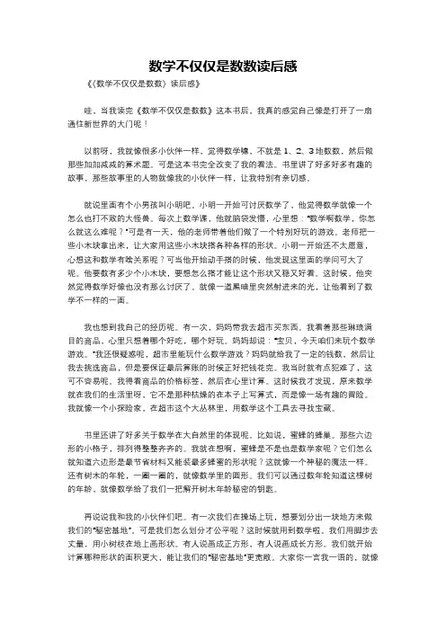 数学不仅仅是数数读后感
