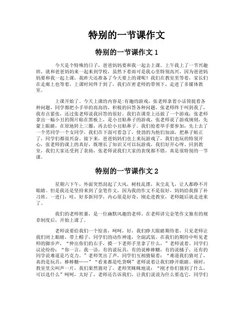 特别的一节课作文