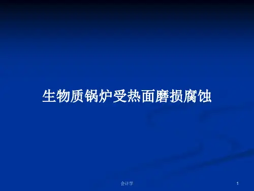 生物质锅炉受热面磨损腐蚀PPT教案