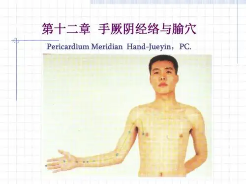 09心包经
