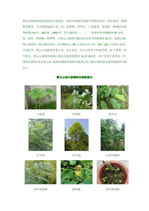 缙云山植物种类