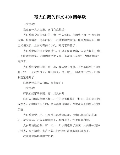 写大白鹅的作文400四年级