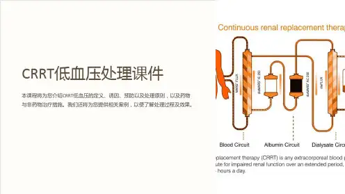 CRRT低血压处理课件