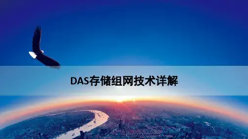 DAS存储组网技术详解-最新课件PPT