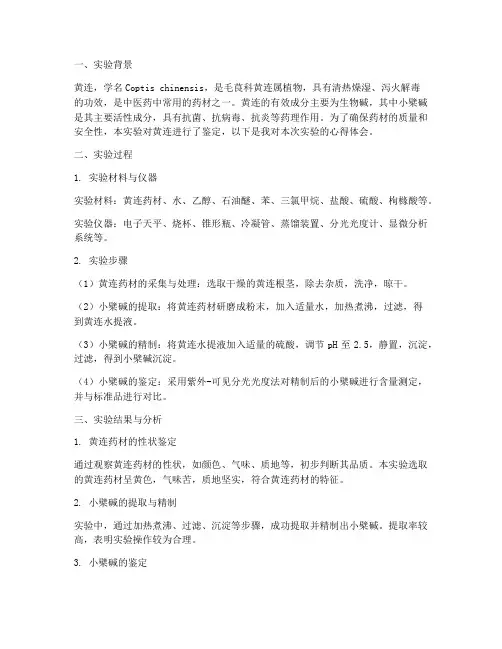 黄连的鉴定实验报告心得