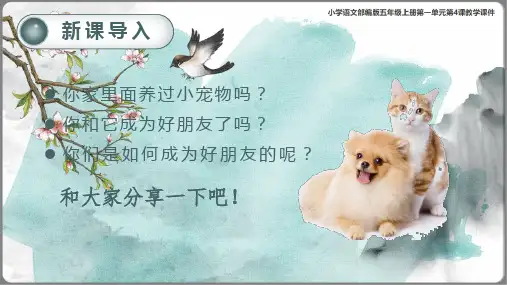 《珍珠鸟》课件 (共37张PPT)