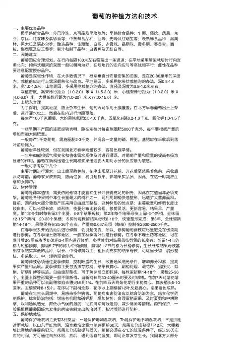 葡萄的种植方法和技术