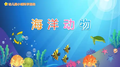 海洋动物PPT