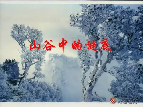 山谷中的谜底教学PPT课件苏教版语文六年级下册第17课