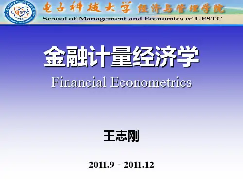 金融计量经济学Financial Econometrics
