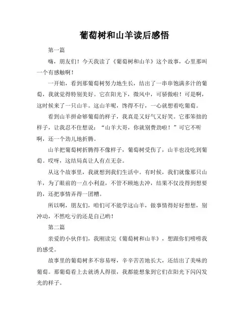 葡萄树和山羊读后感悟