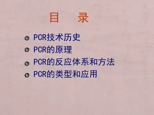 PCR实验及结果分析