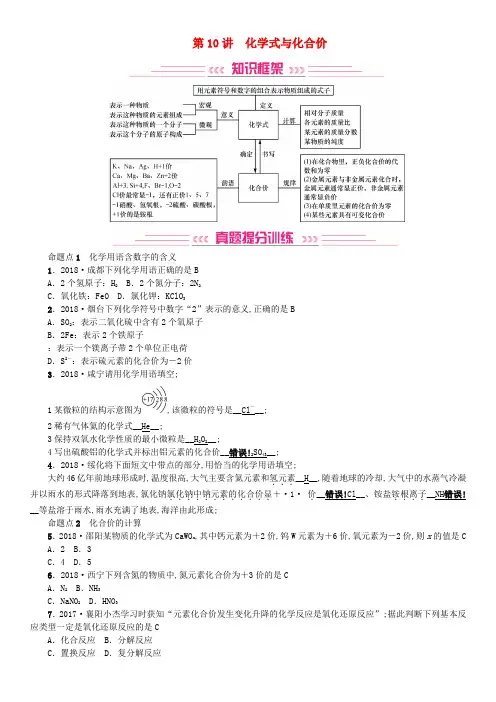 中考化学复习主题二物质构成的奥秘化学式与化合价专题练习
