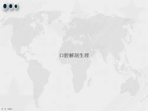口腔解剖生理讲课文档
