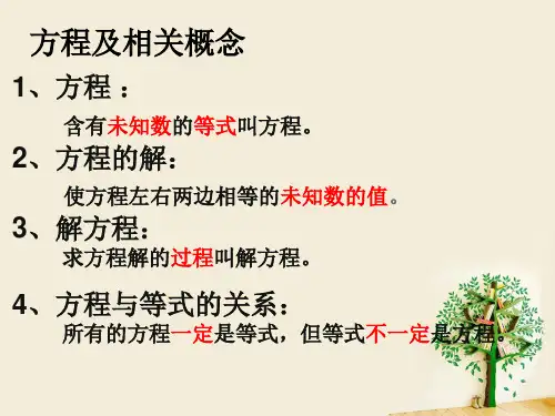 式与方程整理与复习