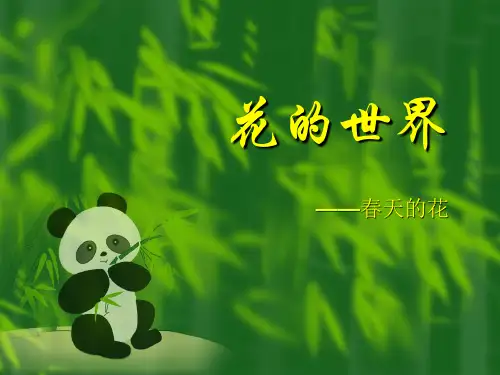 花的世界——迎春花PPT课件讲义