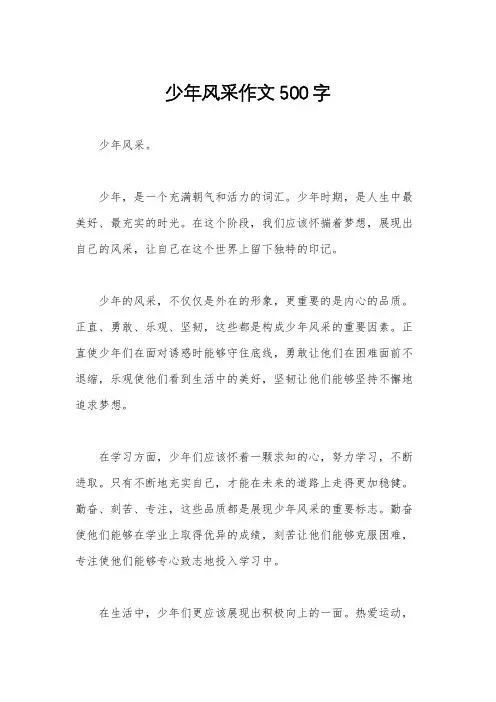 少年风采作文500字