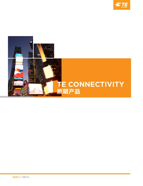 TE CONNECTIVITY 照明连接方案速查手册说明书