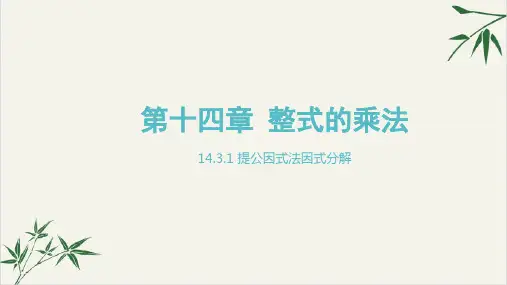 课件《因式分解》PPT_完美课件_人教版2