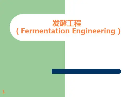 发酵工程制药( )ppt课件