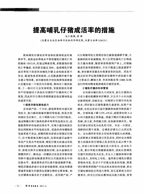 提高哺乳仔猪成活率的措施