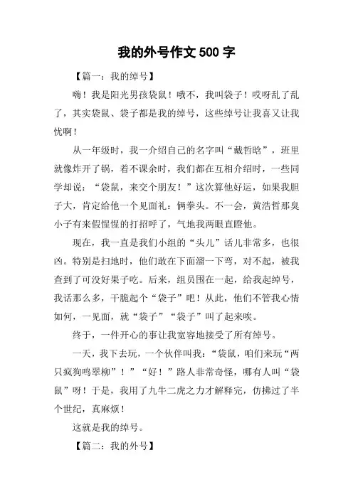 我的外号作文500字