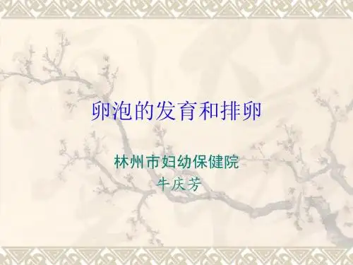 卵泡的发育和排卵