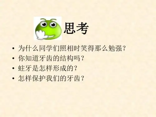 牙齿的结构与功能ppt课件
