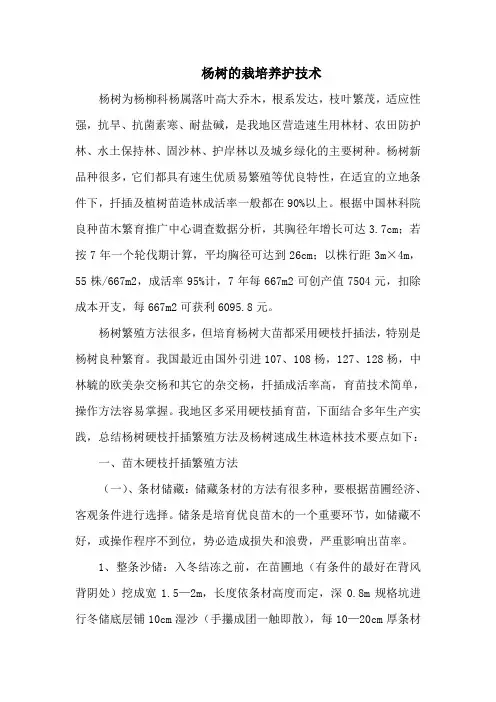 杨树的栽培养护技术