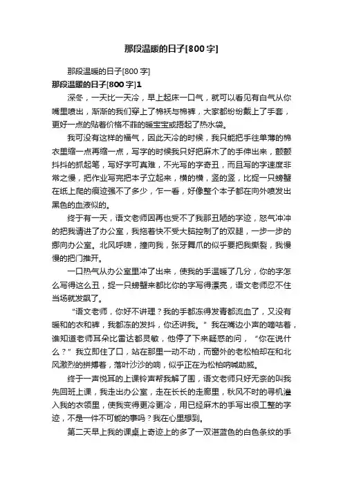 那段温暖的日子[800字]