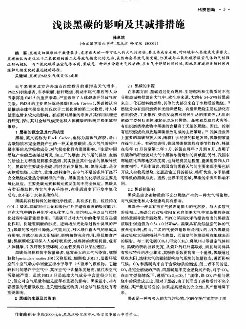 浅谈黑碳的影响及其减排措施
