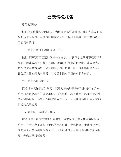 公示情况报告