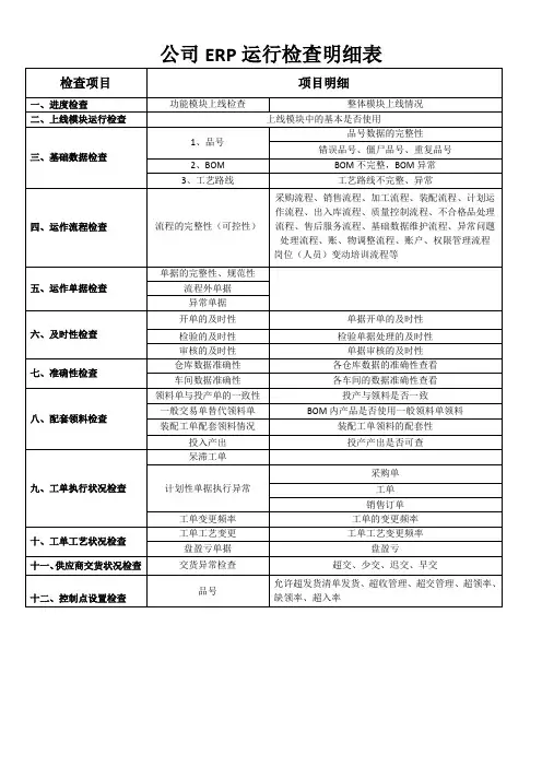 ERP运行检查明细表