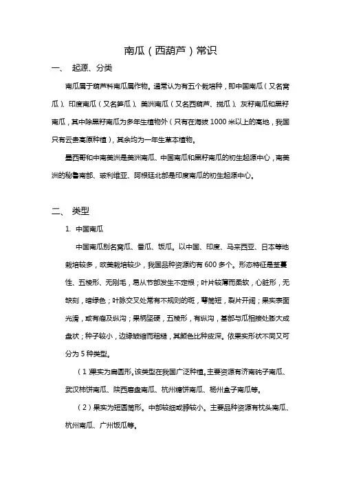 南瓜