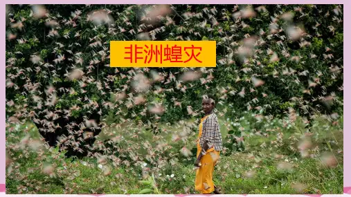 湘教版七年级下册 6.1 亚洲 (共26张PPT)优质课件