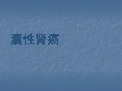 囊性肾癌ppt课件