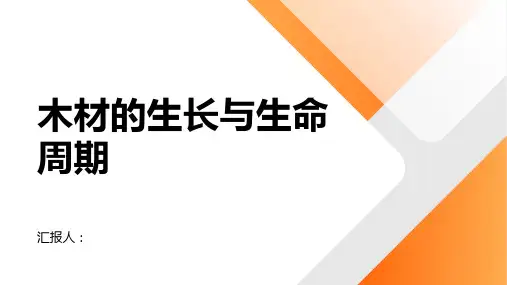 木材的生长与生命周期