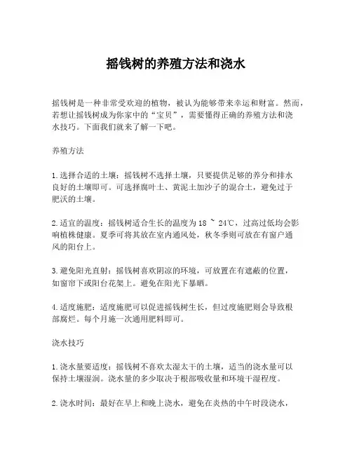 摇钱树的养殖方法和浇水
