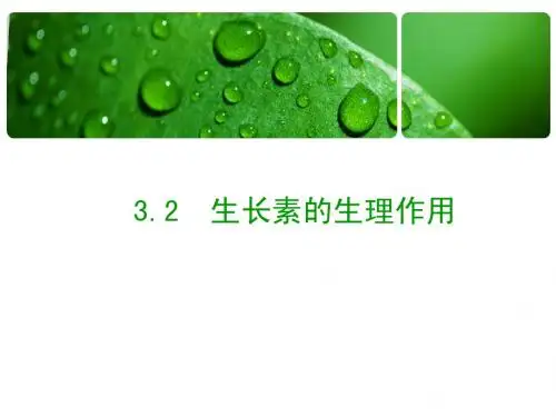 生长素的生理作用