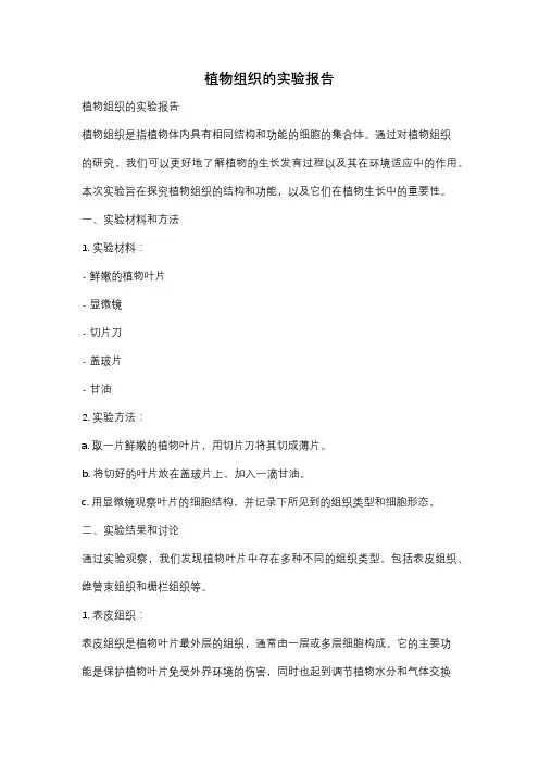 植物组织的实验报告
