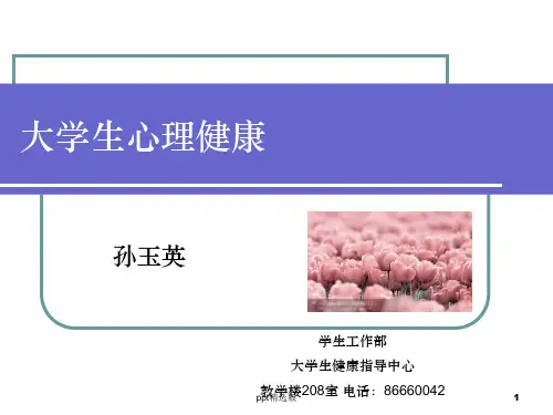大学生心理健康概述ppt课件