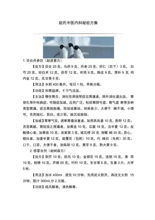 赵氏中医内科秘验方集