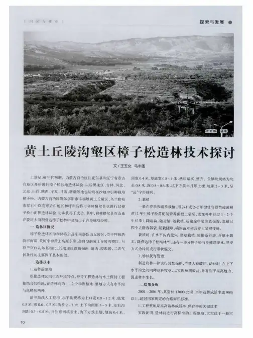 黄土丘陵沟壑区樟子松造林技术探讨