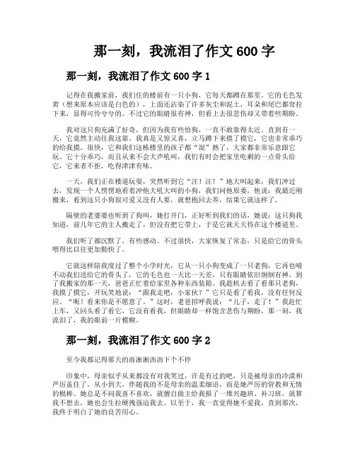 那一刻我流泪了作文600字